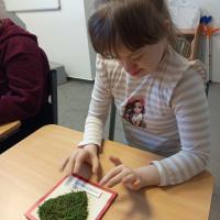 IMG 20260116 105204