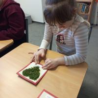 IMG 20260116 105243