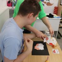 IMG 5987