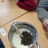 IMG 20260218 111019
