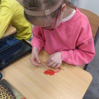 IMG 20250526 112648465