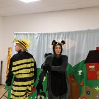 IMG 3742