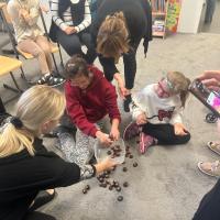 IMG-20251017-WA0089