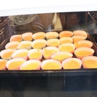 IMG 3259