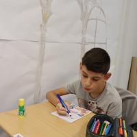 IMG 5001