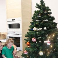 IMG 7629