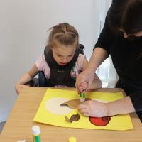 IMG 8529