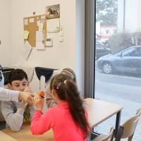 IMG 7176