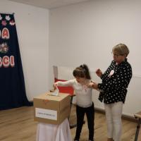 IMG 6076