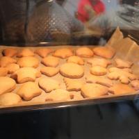 IMG 7424