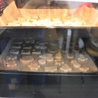 IMG 7440